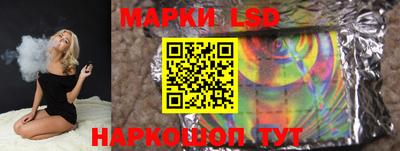 PSILOCYBIN Гатчина