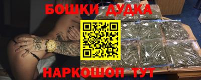 PSILOCYBIN Гатчина