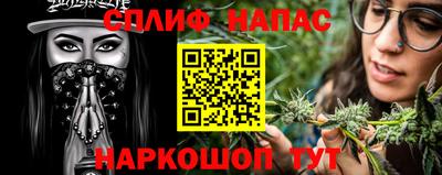 PSILOCYBIN Гатчина