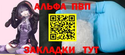 PSILOCYBIN Гатчина