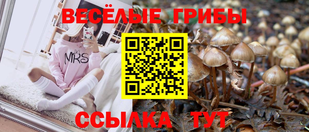Назарово  Псилоцибиновые грибы Cubensis  Вход с VPN 