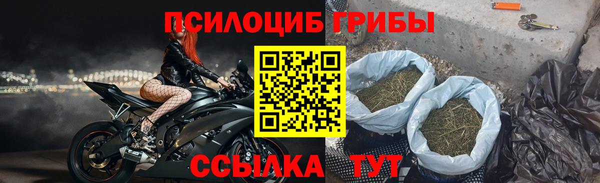Псилоцибиновые грибы мухоморы Назарово